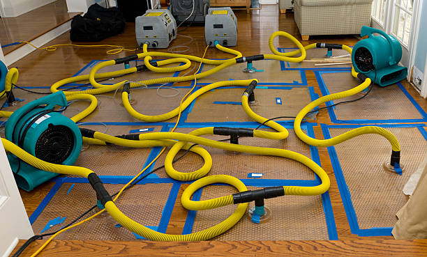 Professional Basement Flood Cleanup technician working in Oakland, KY